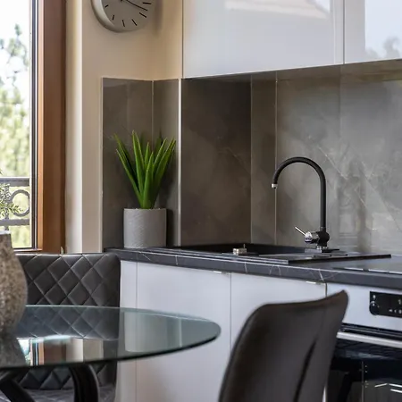 Elsa 2 兹拉蒂博尔