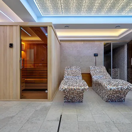 Elsa 2 兹拉蒂博尔